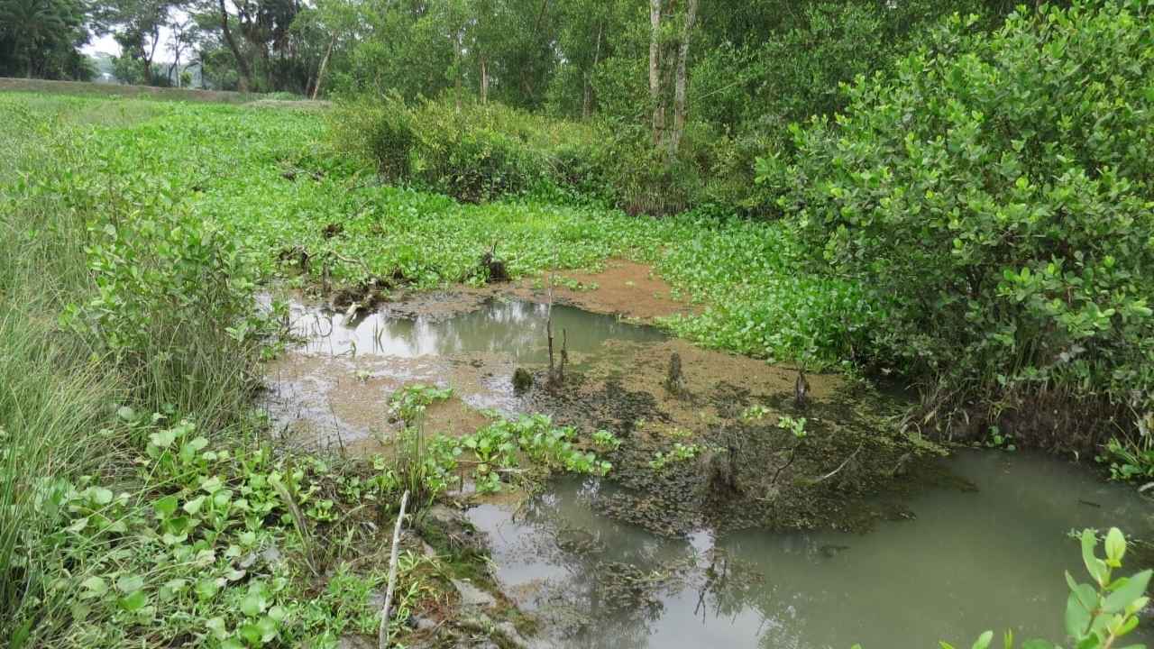 Splash Image