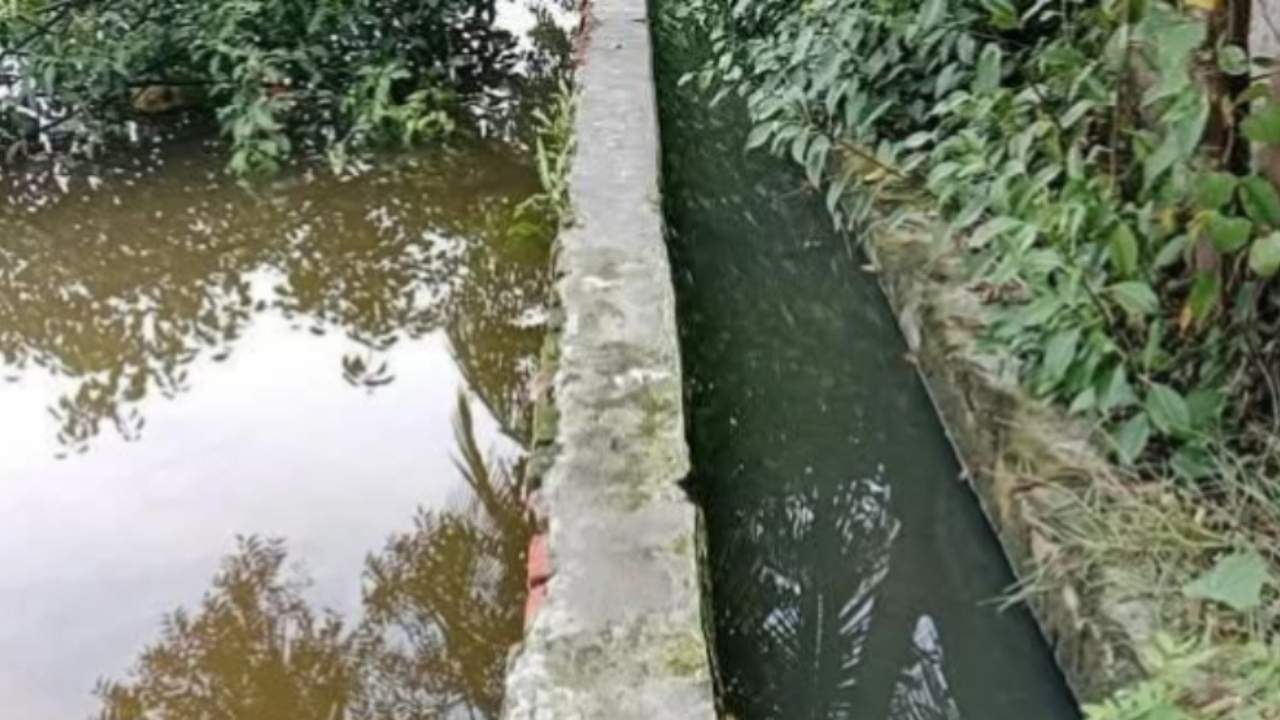 Splash Image
