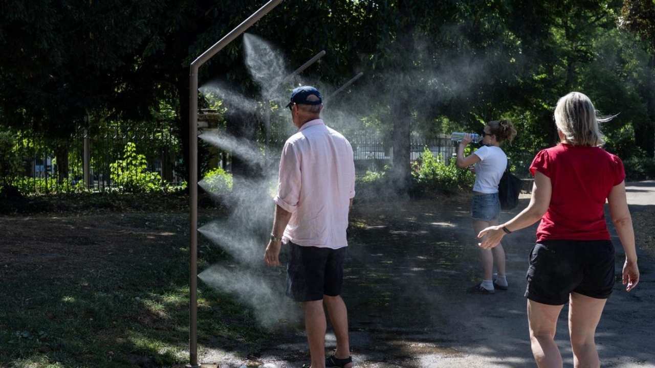 Splash Image