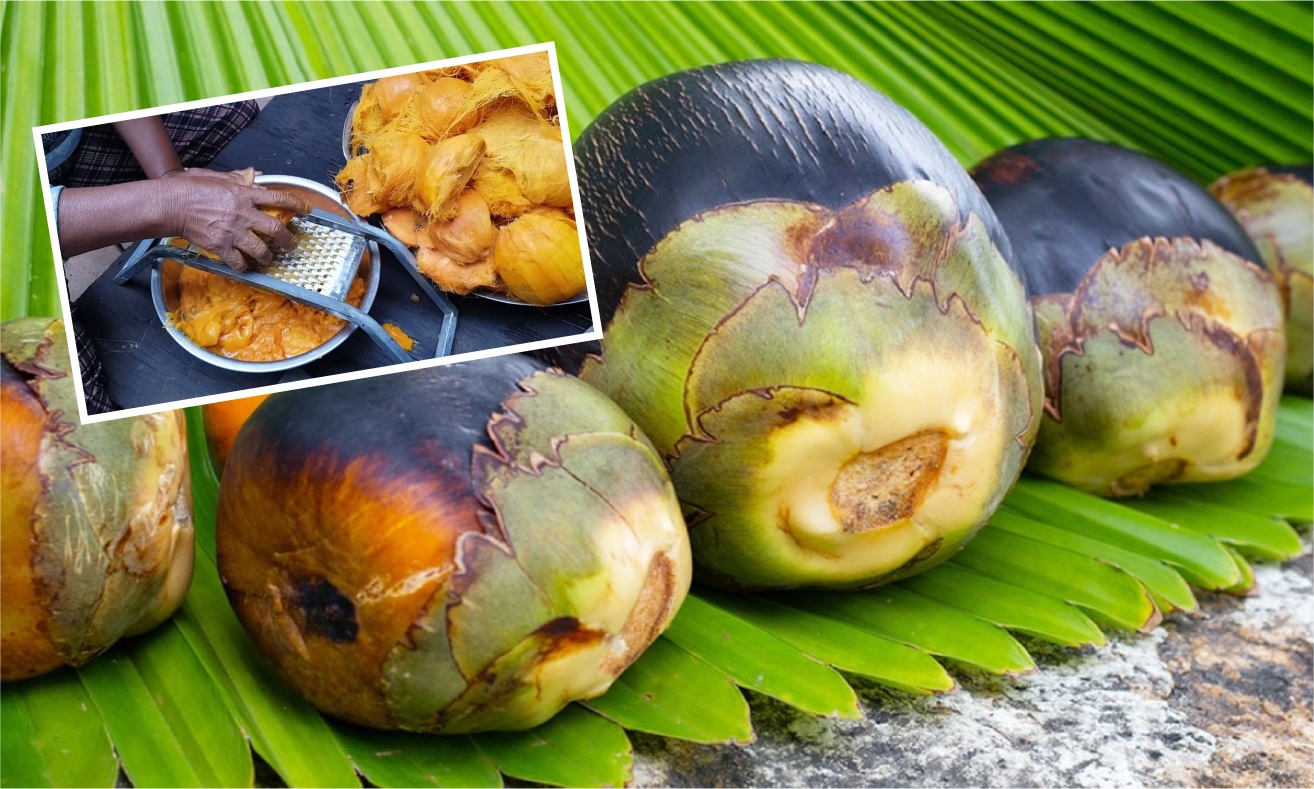 গরমে ঠান্ডা রাখে, হজমে সহায়তা করে—পাকা তালের স্বাস্থ্যগুণ জানেন কি?