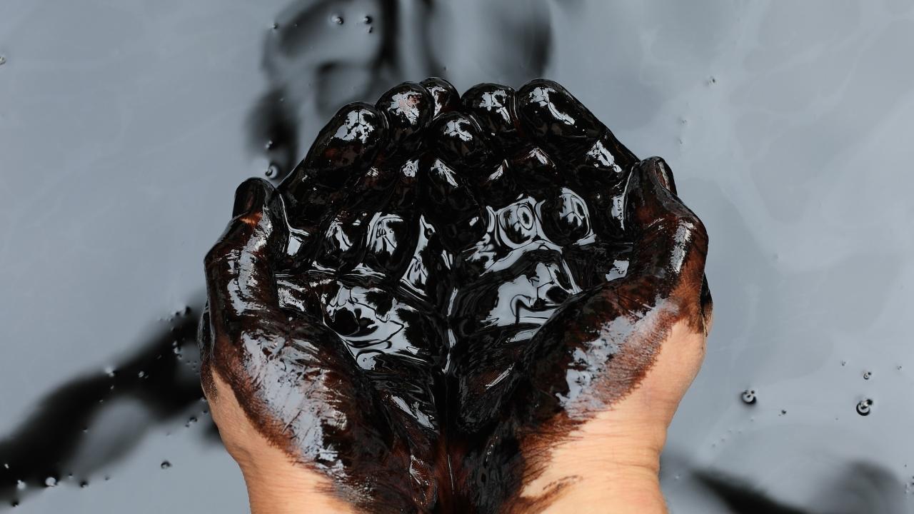 Splash Image