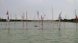 জলাশয়ে ফিরছে বিলুপ্ত প্রায় দেশীয় প্রজাতির মাছ