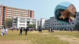 ছাত্রাবাসে ঢুকে শিক্ষার্থীকে হত্যাচেষ্টা! হাতুড়ি ও ধারালো অস্ত্রের আঘাতে গুরুতর আহত