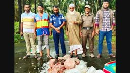 পাথরঘাটায় হরিণের মাথাসহ মাংস উদ্ধার