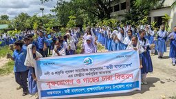 ব্রাহ্মণবাড়িয়ায় তরী বাংলাদেশের উদ্যোগে বৃক্ষরোপণ ও চারা গাছ বিতরণ