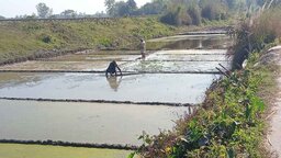 নীলফামারীতে ইরি-বোরো বীজতলা তৈরিতে ব্যস্ত চাষিরা