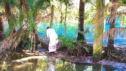 পাথরঘাটায় তারকাঁটার বেড়া কেটে প্রবাসীর জমি দখলের চেষ্টা