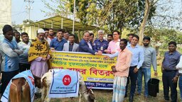 টুঙ্গিপাড়ায় বিকল্প কর্মসংস্থানের লক্ষ্যে জেলেদের মাঝে বকনা বাছুর বিতরণ