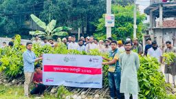 মানবতার কল্যাণে বৃক্ষরোপণ, ১০০০ আম গাছের চারা বিতরণ করলো শিক্ষার্থীদের সংগঠন