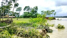 বিষখালীর ভাঙনে নদীগর্ভে বিলীনের শঙ্কায় নলছিটির দুই বিদ্যালয়