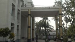 মুকসুদপুরে ৩ দিনে পাগলা কুকুরের কামড়ে  আহত ২৫ জন