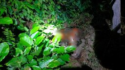 চাটখিলে নিখোঁজ যুবকের আগুনে পোড়া অর্ধগলিত মরদেহ উদ্ধার