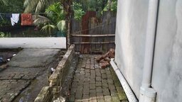 ঝালকাঠিতে রাস্তা বন্ধ করে একটি পরিবারকে অবরুদ্ধ করে রাখার অভিযোগ বিএনপি নেতার বিরুদ্ধে
