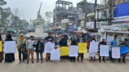 ওসমান হাদির বোনের ঢাকা–৮ আসনে প্রার্থী হওয়ার দাবিতে নলছিটিতে মানববন্ধন