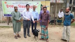 মনোহরদীতে ভিক্ষুক পুনর্বাসন কর্মসূচির আওতায় ছাগল বিতরণ