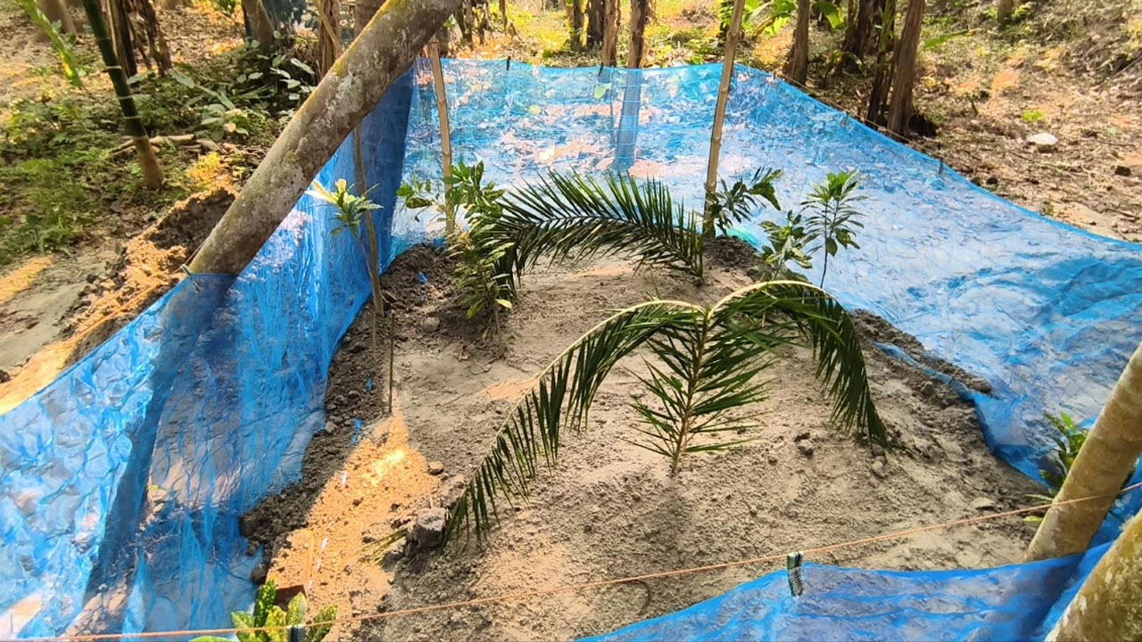 কারাফটকে পাঁচ মিনিটের শেষ দেখা, পাশাপাশি কবরে শায়িত স্ত্রী-সন্তান