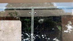 হাটহাজারীতে ব্যবসায়ীর বাড়িতে মুখোশধারী সন্ত্রাসীদের গুলিবর্ষণ