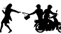 বাড়িতে কাজের অভিনয় করে  গৃহবধূর স্বর্ণালংকার ও মোবাইল ছিনতাই