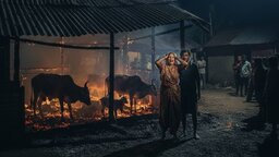 সদরপুরে গোয়াল ঘরে আগুন লেগে ৩টি গরু ও ২টি ছাগল পুড়ে ছাই