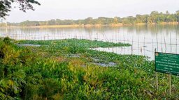 বাকেরগঞ্জে মৎস্য কর্মকর্তার উদাসীনতায় সরকারি প্রকল্প ব্যর্থ হওয়ার শঙ্কা