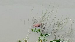 কপোতাক্ষ নদে অজ্ঞাতপরিচয় বৃদ্ধের লাশ উদ্ধার