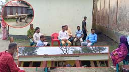 জিনিয়া ওমর মডেল একাডেমিতে অবশেষে বিদ্যুৎ সংযোগ — ইউএনও’র হস্তক্ষেপে বাস্তবায়ন