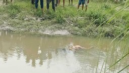 নীলফামারীর বারুনীর ডাঙ্গা নদী থেকে ১ নারীর মরদেহ উদ্ধার