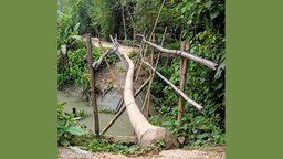 আট বছর ধরে সেতুবিহীন বাকেরগঞ্জের ৫ গ্রামের মানুষ