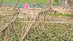 একমাত্র পারাপারের সাঁকো ভাঙা, চরম দুর্ভোগে এলাকাবাসী