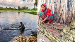 গোপালগঞ্জে চান্দা বিলের ২ হাজার দিনমজুরের সংসারের চাকা ঘুরছে পাটে