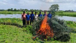 কাশিয়ানীতে দেড় হাজার মিটার চায়না দুয়ারী জাল জব্দ করে ধ্বংস