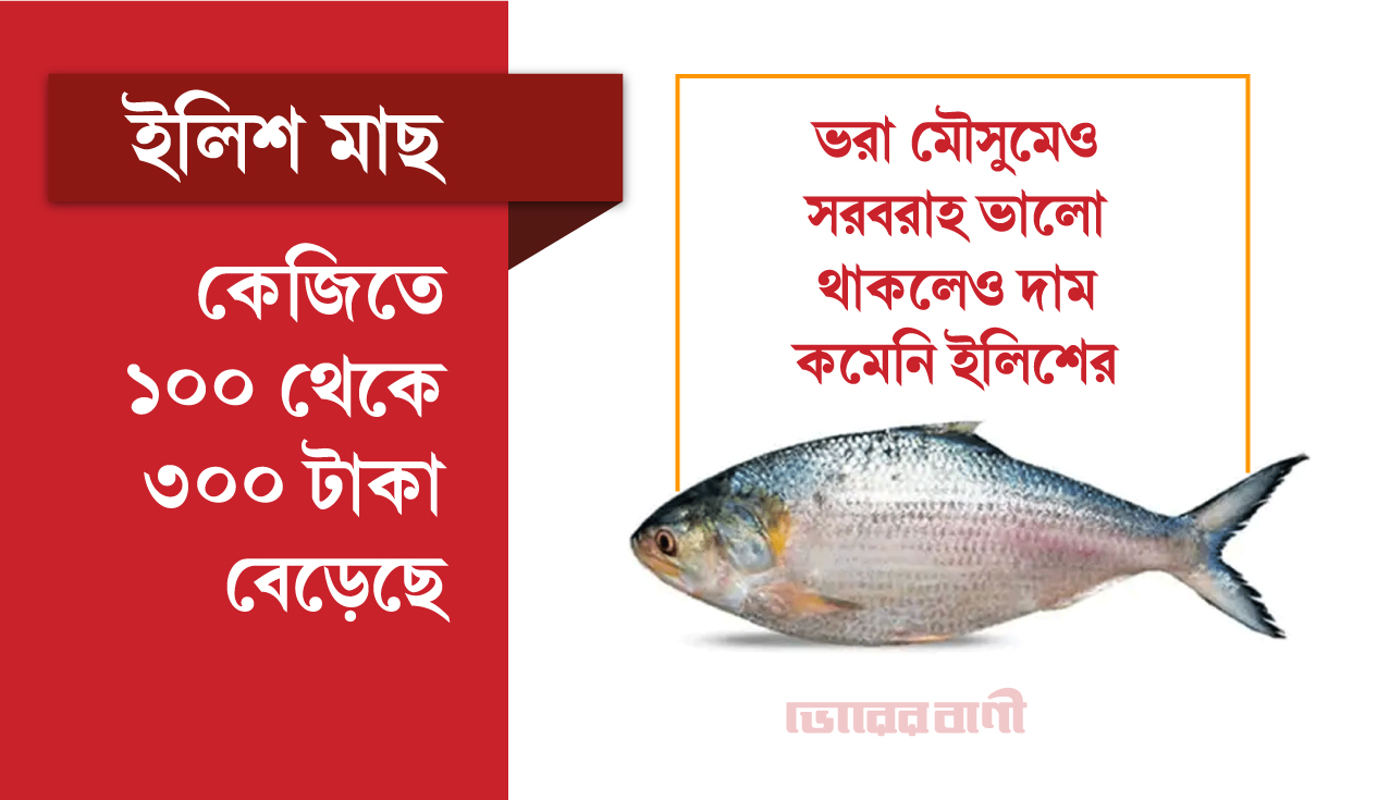 সরবরাহ ভালো থাকলেও শেষ মুহূর্তে ইলিশের বাজার চড়া