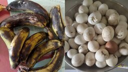 বাকেরগঞ্জে স্কুলের টিফিনে পচা-বাসি খাবার, স্বাস্থ্যঝুঁকিতে শিক্ষার্থীরা