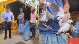 নেত্রকোনার হাওরে অতিথি পাখি শিকার, যুবককে ১০ হাজার টাকা জরিমানা