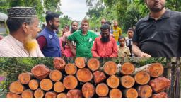 নকলায় মহাসড়কে গাছের গুঁড়ি রেখে জনদুর্ভোগ, ৫ জনকে ৫৪ হাজার টাকা জরিমানা