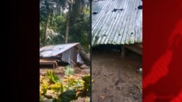 মনিরামপুরে হাকোবা এলাকায় ঘর দখল, মাদক সেবনের প্রতিবাদ করায় ব্যবসায়ীর উপর হামলা