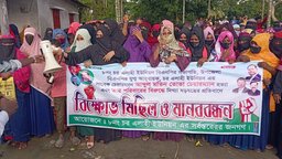 নোয়াখালীতে বিএনপি নেতা তোতা হত্যাকান্ড ও তার পরিবারের নামে মিথ্যাচারের প্রতিবাদে বিক্ষোভ