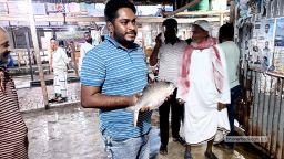 কুয়াকাটায় নিলামে এক ইলিশের দাম ৬ হাজার ছাড়াল