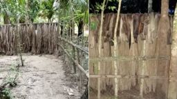 বাড়ির রাস্তায় বেড়া ও গাছ রোপণ, ৯ দিন অবরুদ্ধ ৭ পরিবার