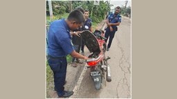 নোয়াখালীতে মাদকবিরোধী বিশেষ অভিযানে গ্রেপ্তার ২৭