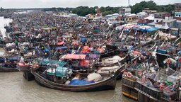পাথরঘাটায় ট্রলারসহ ১০ লাখ টাকার মাছ লুটের অভিযোগ