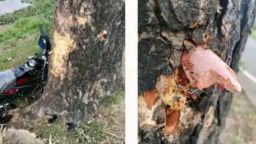 ঈদের আনন্দ ভ্রমণ মর্মান্তিক মৃত্যুতে পরিণত, শান্তিগঞ্জে মোটরসাইকেল দুর্ঘটনায় তরুণ নিহত, আহত ২