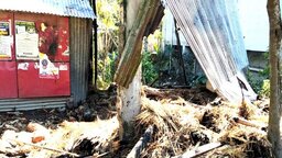 নেত্রকোণায় ছাগলের খামারে ভয়াবহ অগ্নিকাণ্ড, মারা গেছে ২৯টি ছাগল