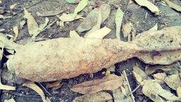 বকশীগঞ্জে পুকুর থেকে মর্টারশেল উদ্ধার