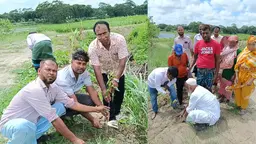 শিবচর উপজেলায় একযোগে ২৫ হাজার চারাগাছ রোপন