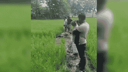 নোয়াখালীতে ইঁদুর মারার বৈদ্যুতিক ফাঁদে বিদ্যুৎস্পৃষ্ট হয়ে কৃষকের মৃত্যু