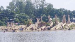 পাট চাষে বাম্পার ফলন, সোনালি আঁশ ছাড়াতে ব্যস্ত কৃষকরা