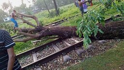 ঝড়ে গাছ উপড়ে নোয়াখালীর রেলপথে বিপর্যয়, ট্রেন চলাচল ব্যাহত