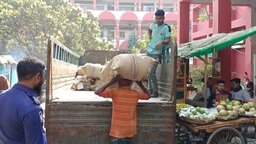 সাতক্ষীরায় ত্রয়োদশ জাতীয় সংসদ নির্বাচনের ব্যালট পেপার হস্তান্তর