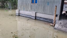 তিস্তার পানি বিপদসীমার উপরে, শত শত পরিবার পানিবন্দি
